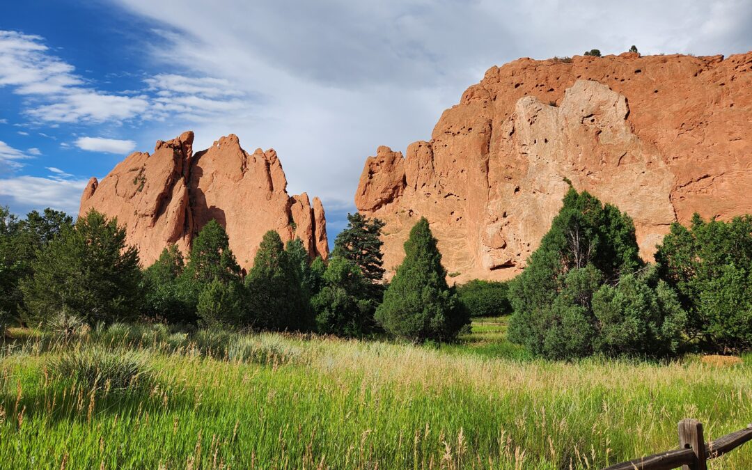 6 Digital Marketing Myths That Are Holding Your Small Business Back