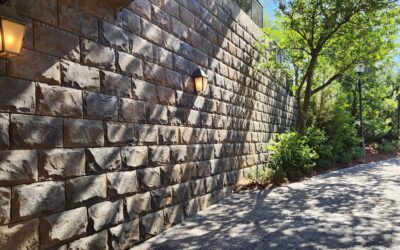 Why Every Woman Entrepreneur Needs Her People: The Truth About Loneliness in Business