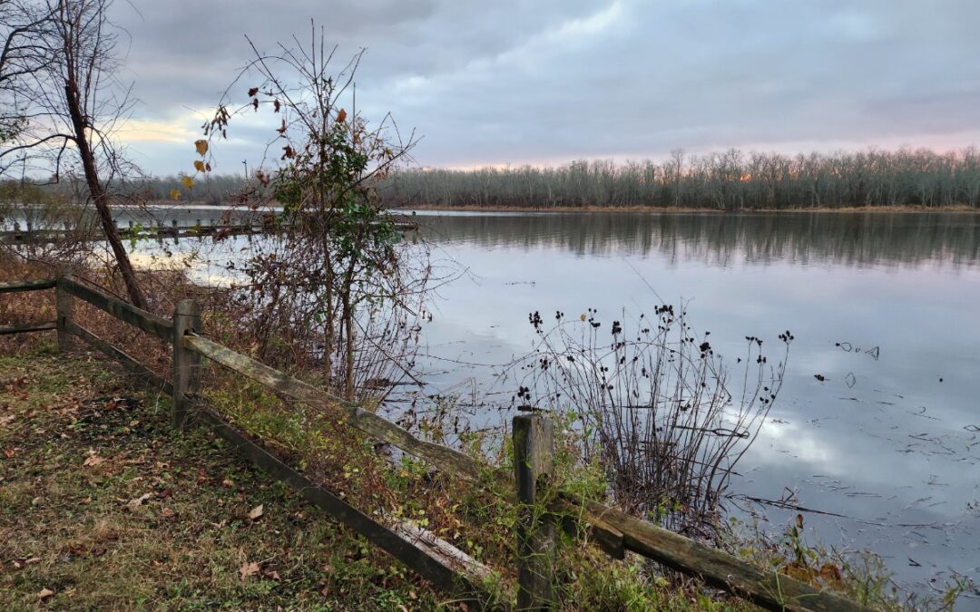 What Your Business Taught You This Year (And What to Do About It in 2026)