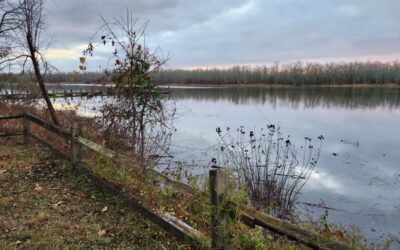 What Your Business Taught You This Year (And What to Do About It in 2026)