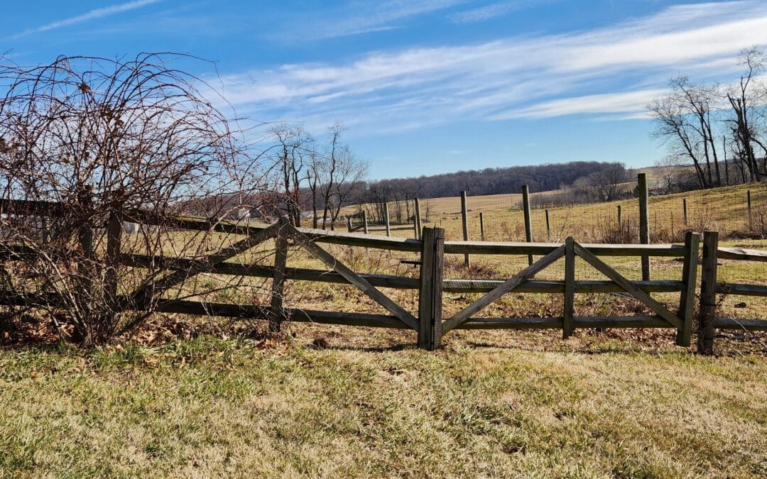 Fall Back in Love With Your Business: A Mid-Winter Reset for Mom Entrepreneurs