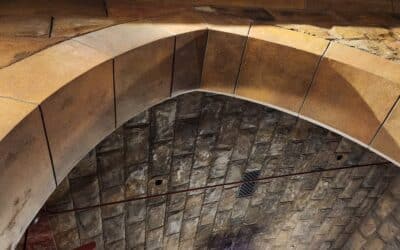 The Rise of Women-Owned Businesses in the United States