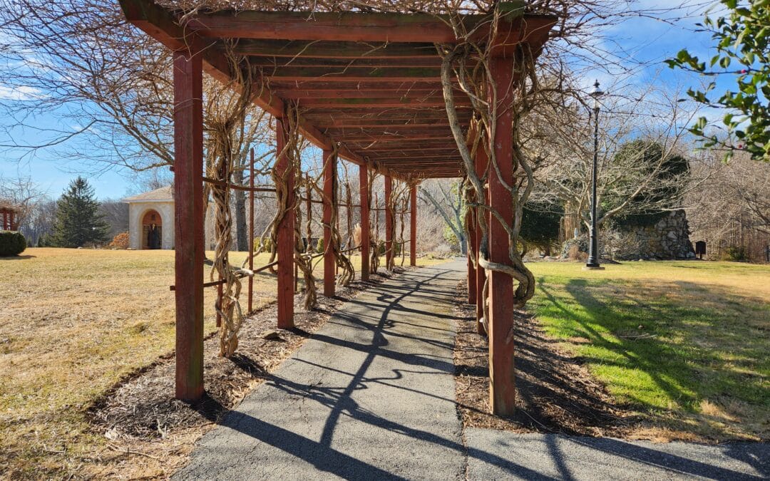 You’re Not “Too Expensive”; They Just Haven’t Seen the Real Cost of Saying No