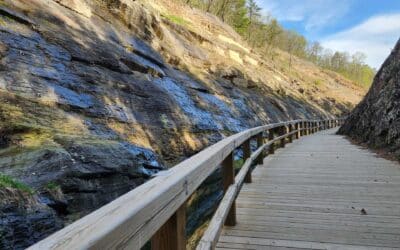 Freebies That Actually Work: Your Guide to Using Lead Magnets in Your Marketing (and What to Avoid)