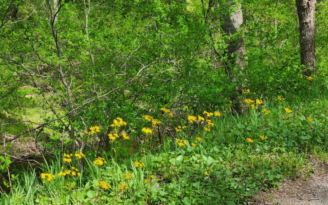 The Beekeeper’s Rule for Content Marketing: Plan Now or Get Stung Later